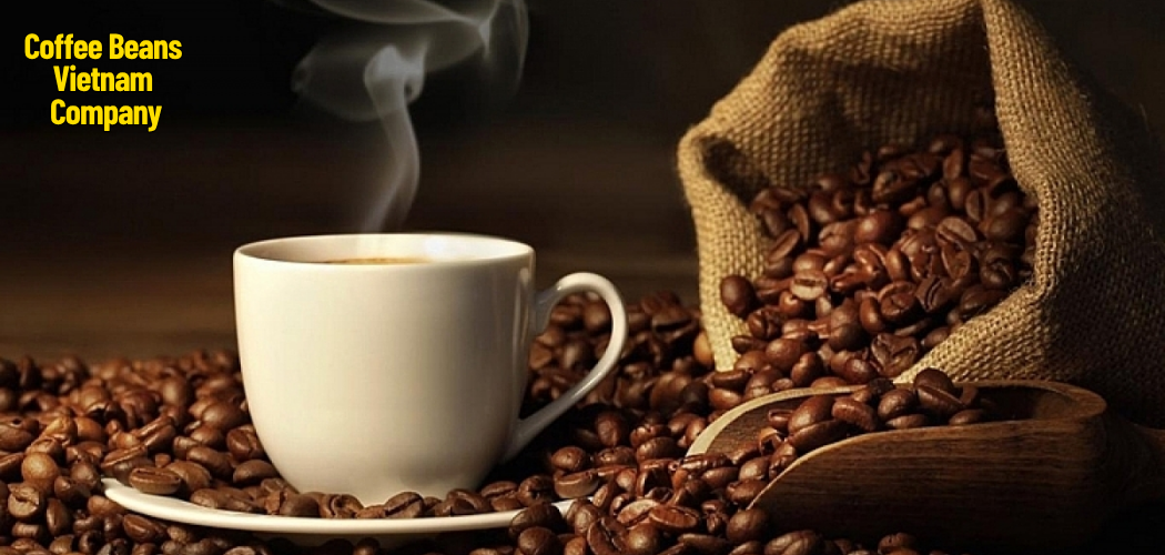 Coffee Beans Vietnam Company 2