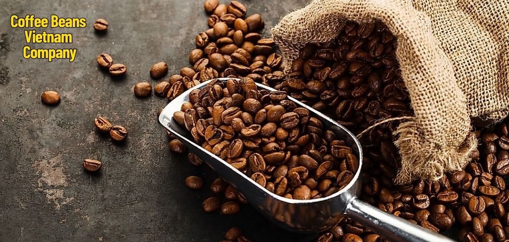 Coffee Beans Vietnam Company