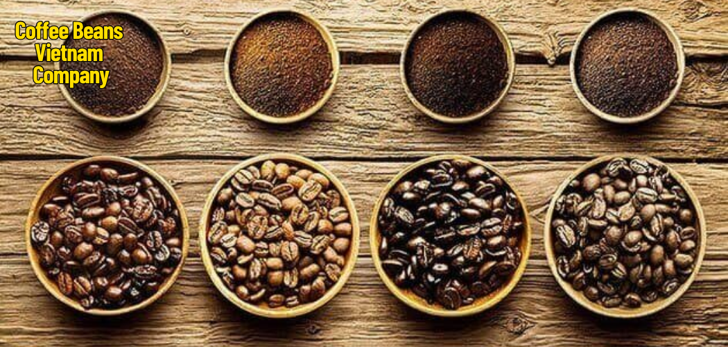 Sustainable Coffee Farming in Vietnam: A Trusted Partner for Global Buyers 1 Coffee Beans Vietnam Company 6